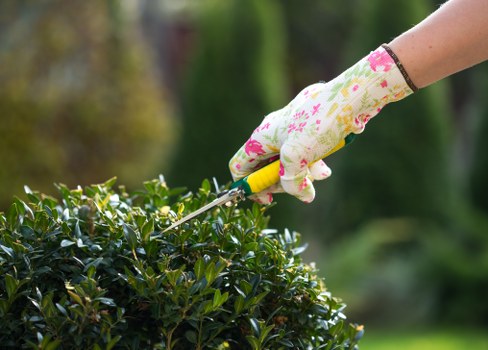 Tree felling work planned for a tight Limehouse residential garden