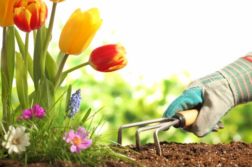 WCAG 2.1 AA compliance and inclusive tree surgery content
