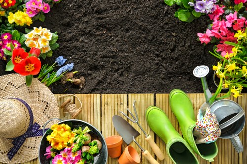 Urban tree care and maintenance in Limehouse