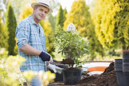 Accessibility request section for tree surgery information