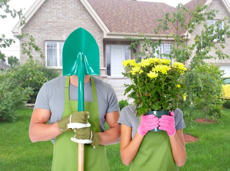 Professional tree surgeons applying a strong safety policy